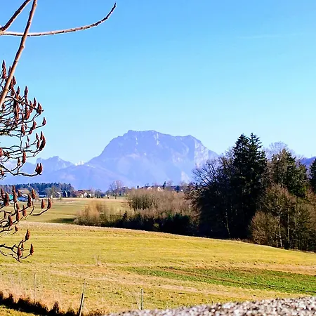 Apartment-dgw 公寓 Rutzenmoos